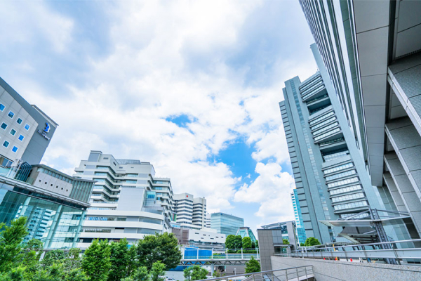 画像:所得税 税務顧問